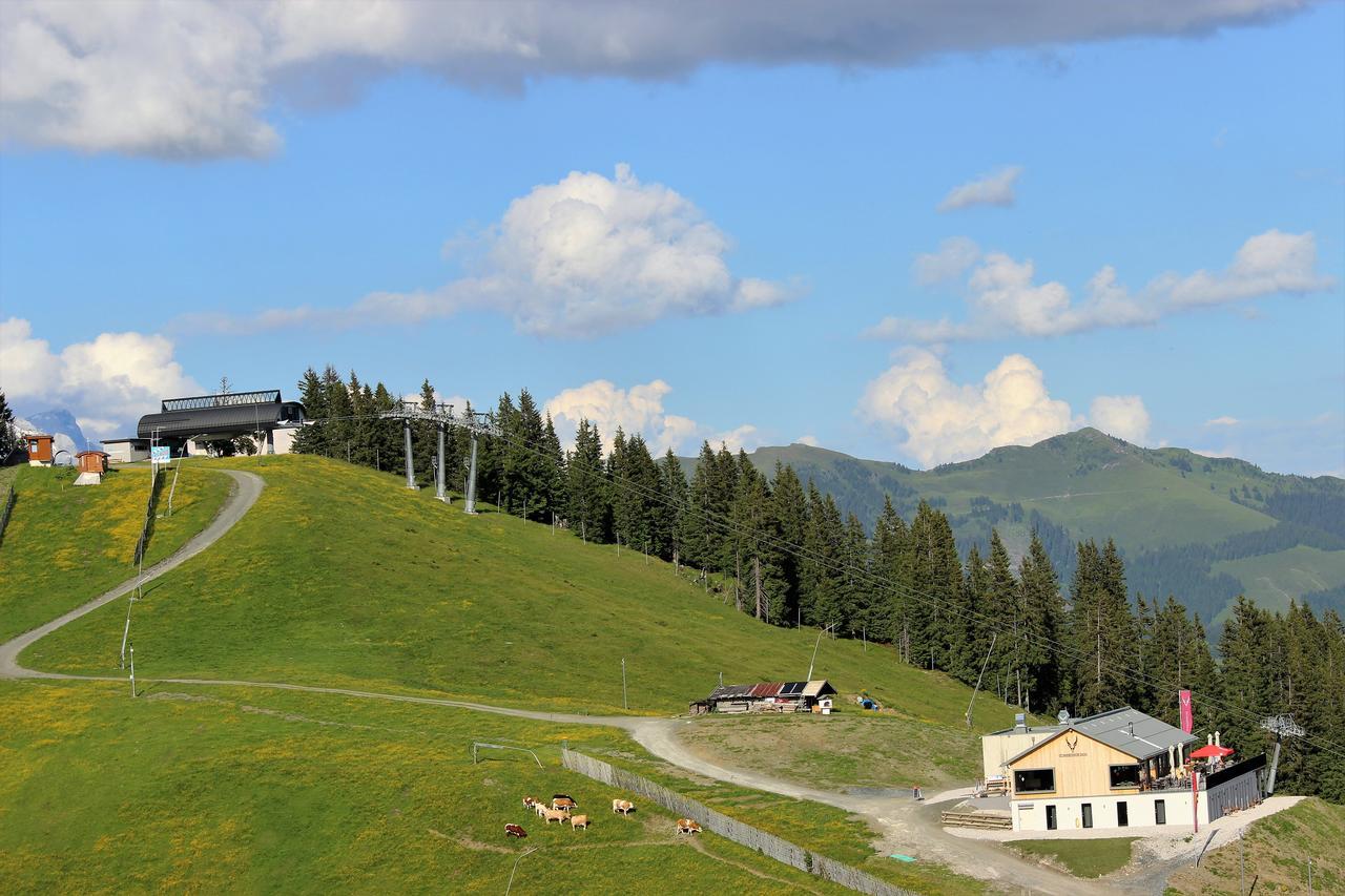 Schmiedhof Alm Hotel Zell am See Kültér fotó