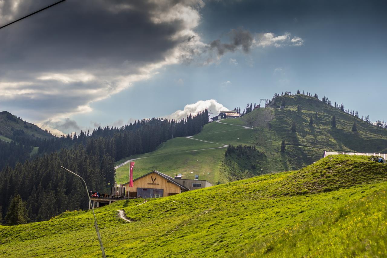 Schmiedhof Alm Hotel Zell am See Kültér fotó